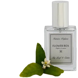 Flower Box Interior Perfume - Fig Leaf & Cedar